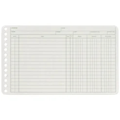 Adams Ledger Sheets, 5" x 8", Green/White