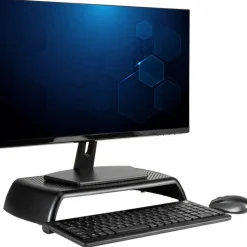 Allsop Ergo Riser Monitor Stand, 16