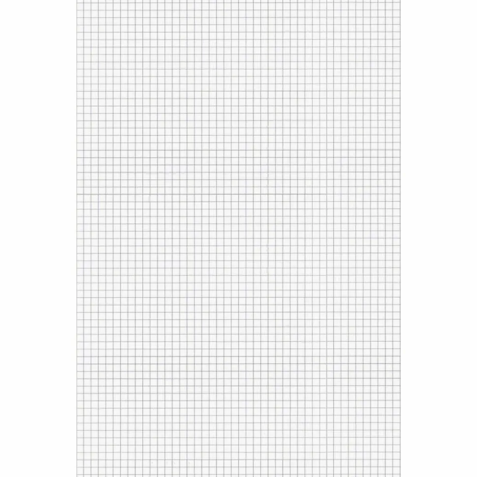 Ampad Graph Pad - 50 Sheets - Both Side Ruling Surface - 15 lb Basis Weight - Tabloid - 11"x17" Sheet Size - 22037