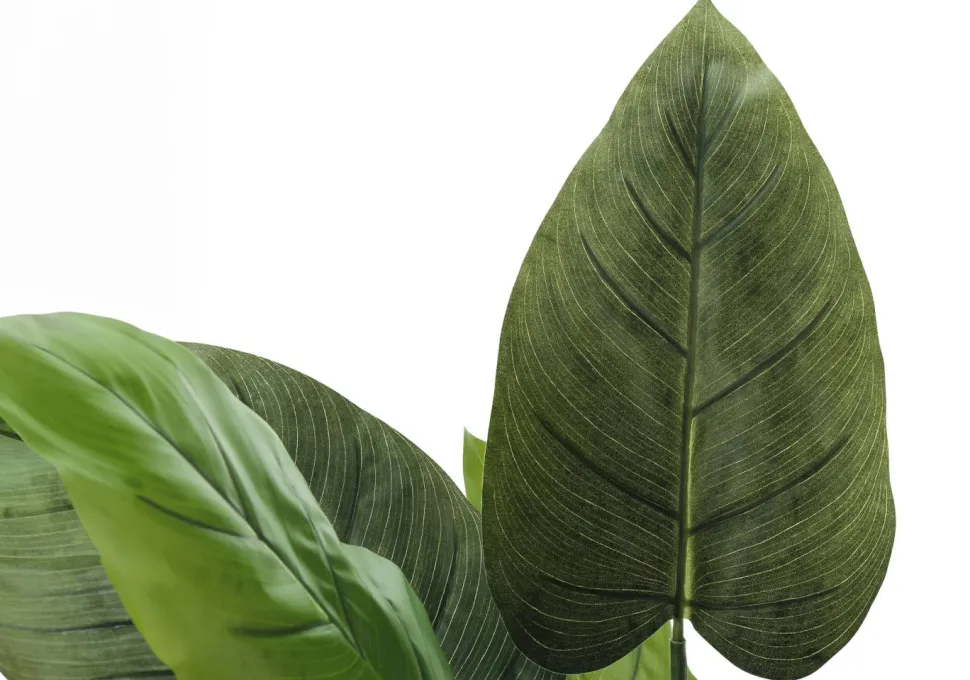 Artificial Plant, 37" Tall, Aureum Tree, Indoor, Faux, Fake, Floor, Greenery, Potted, Real Touch, Decorative, Green Leaves, Black Pot