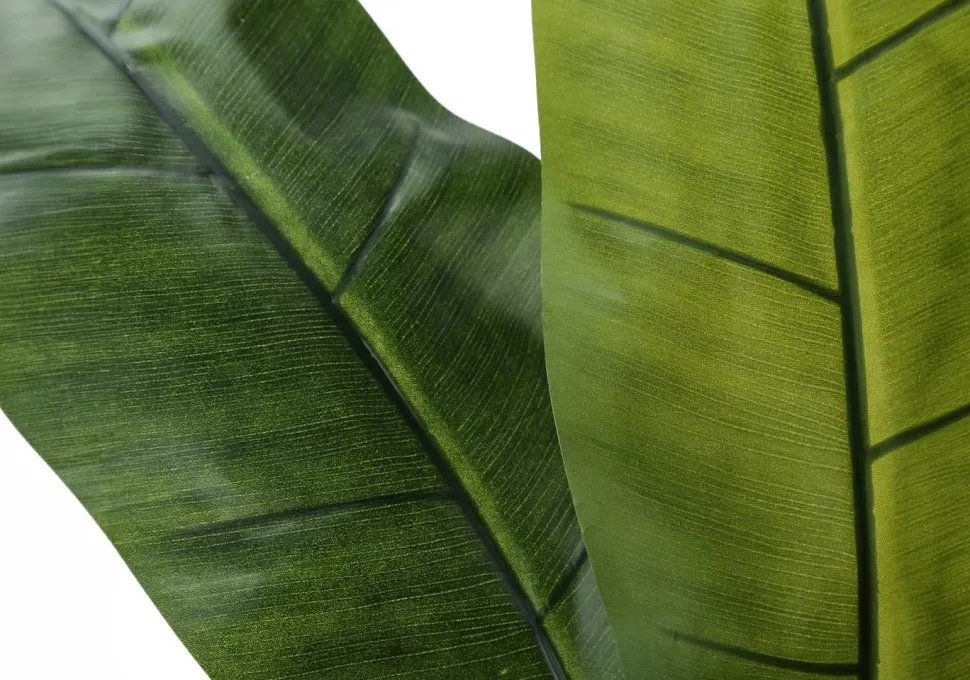 Artificial Plant, 55" Tall, Banana Tree, Indoor, Faux, Fake, Floor, Greenery, Potted, Real Touch, Decorative, Green Leaves, Black Pot