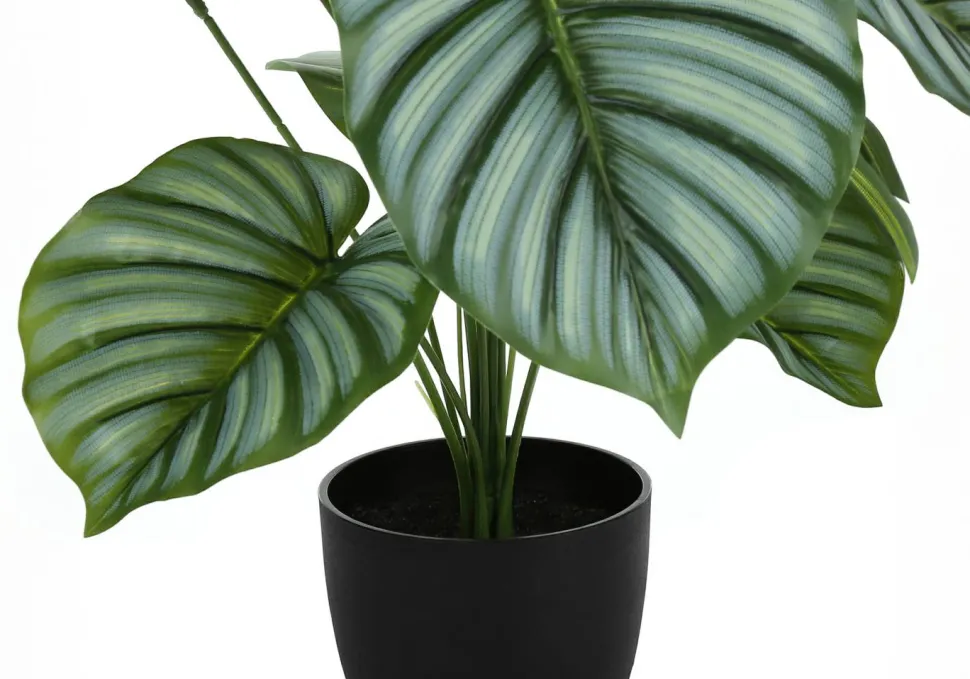 Artificial Plant, 24" Tall, Calathea, Indoor, Faux, Fake, Table, Greenery, Potted, Real Touch, Decorative, Green Leaves, Black Pot