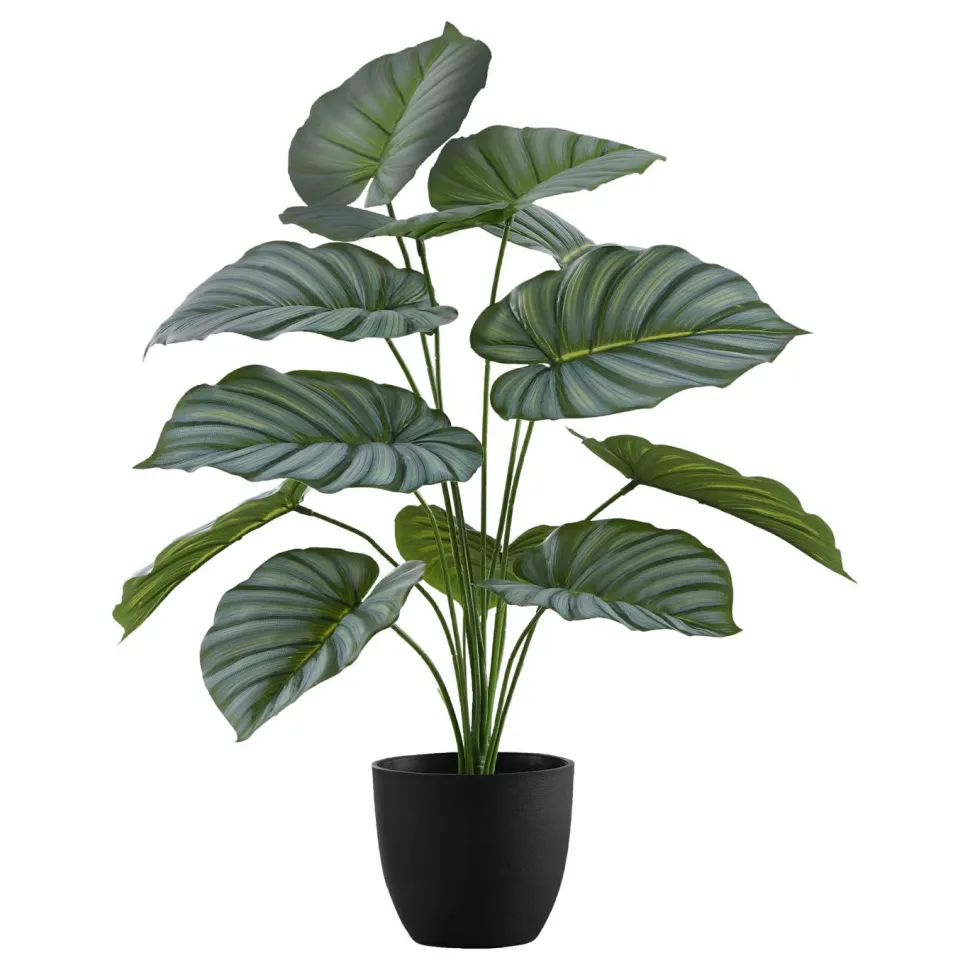 Artificial Plant, 24" Tall, Calathea, Indoor, Faux, Fake, Table, Greenery, Potted, Real Touch, Decorative, Green Leaves, Black Pot