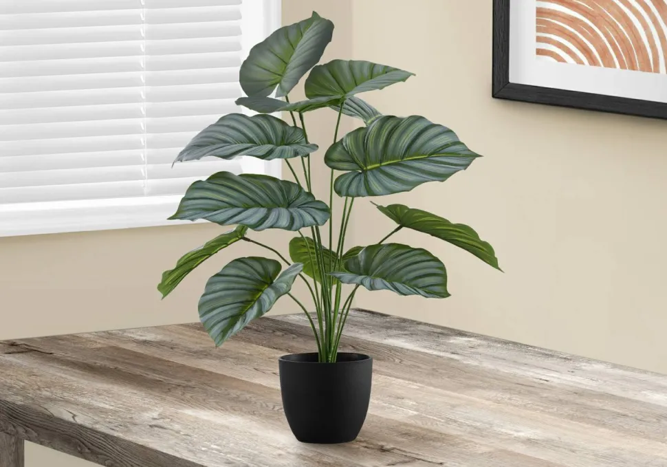 Artificial Plant, 24" Tall, Calathea, Indoor, Faux, Fake, Table, Greenery, Potted, Real Touch, Decorative, Green Leaves, Black Pot