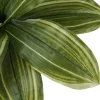 Artificial Plant, 17" Tall, Dracaena, Indoor, Faux, Fake, Table, Greenery, Potted, Real Touch, Decorative, Green Leaves, Black Pot