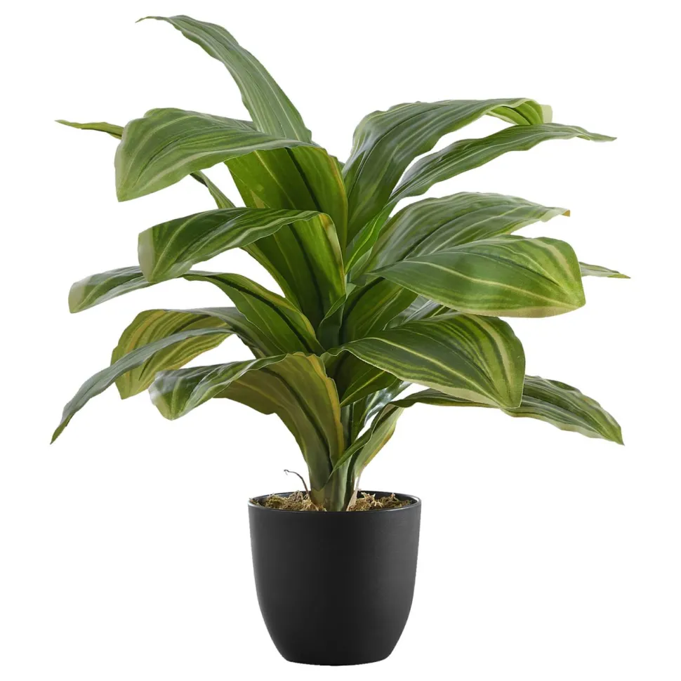 Artificial Plant, 17" Tall, Dracaena, Indoor, Faux, Fake, Table, Greenery, Potted, Real Touch, Decorative, Green Leaves, Black Pot