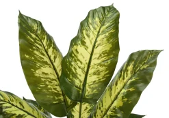 Artificial Plant, 47