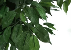 Artificial Plant, 58