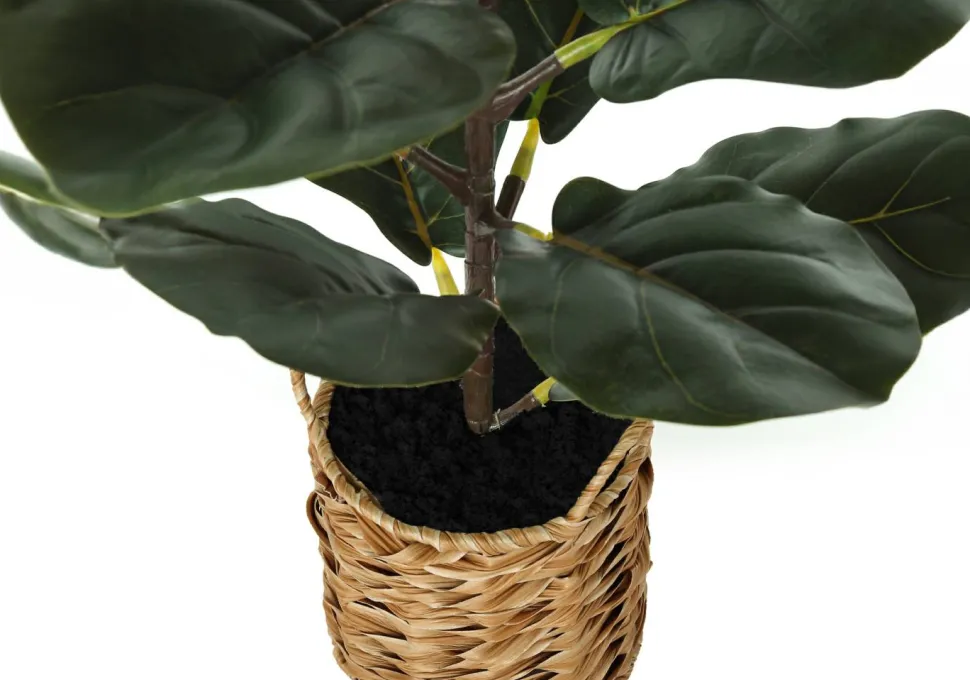 Artificial Plant, 28" Tall, Fiddle Tree, Indoor, Faux, Fake, Floor, Greenery, Potted, Real Touch, Decorative, Green Leaves, Beige Woven Basket