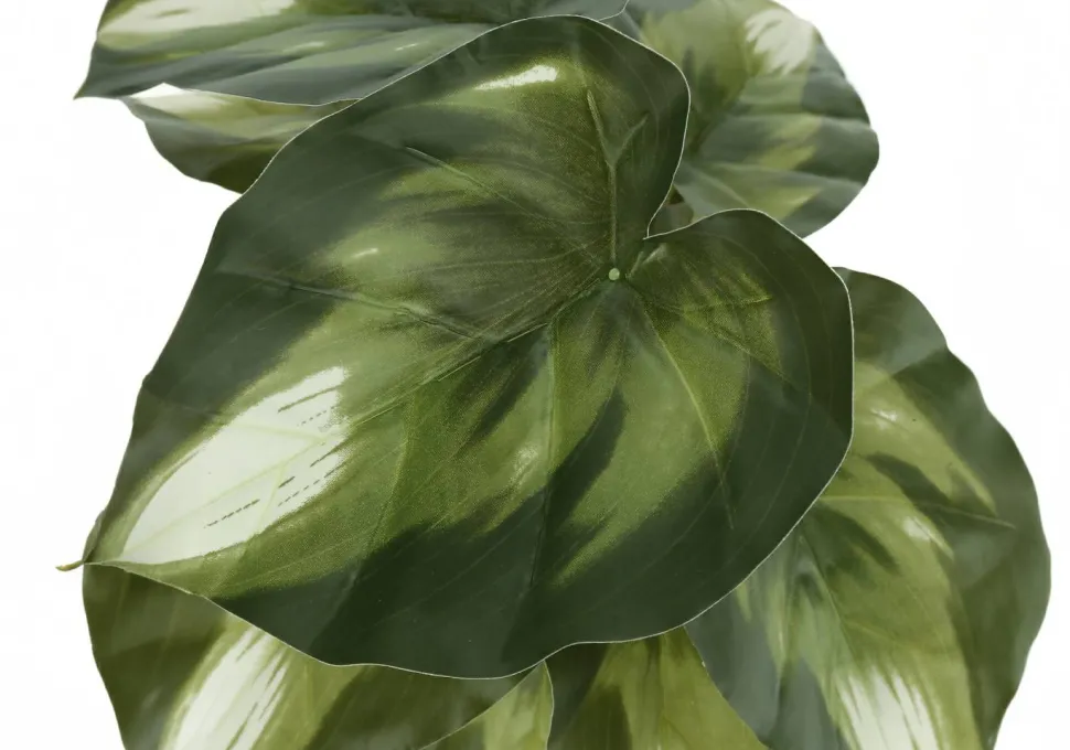 Artificial Plant, 13" Tall, Monstera Calthea, Indoor, Faux, Fake, Table, Greenery, Potted, Set Of 2, Decorative, Green Leaves, Black Pots