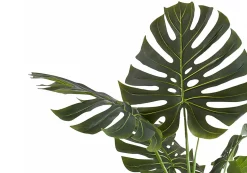 Artificial Plant, 55