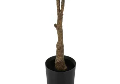 Artificial Plant, 52
