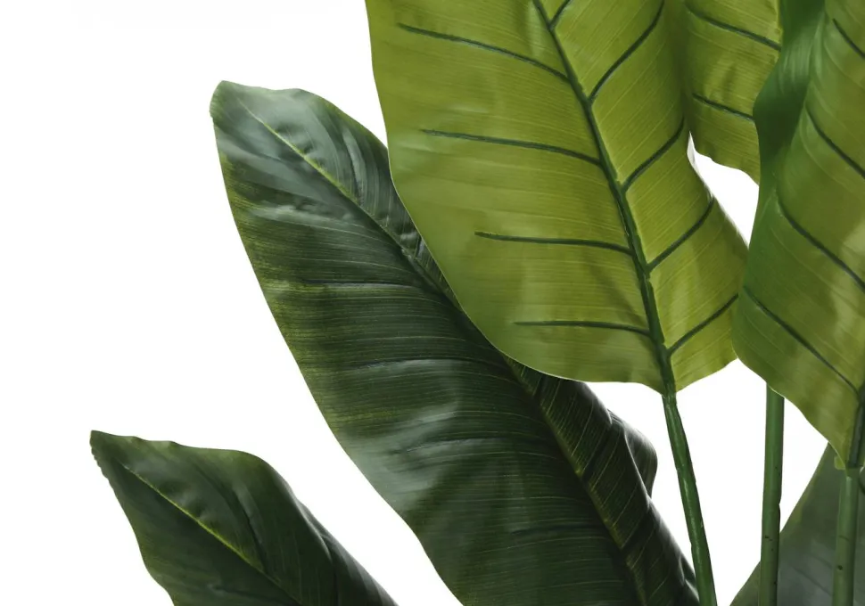 Artificial Plant, 59" Tall, Strelitzia Tree, Indoor, Faux, Fake, Floor, Greenery, Potted, Real Touch, Decorative, Green Leaves, Black Pot
