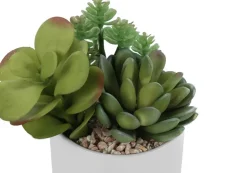Artificial Plant, 7" Tall, Succulent, Indoor, Faux, Fake, Table, Greenery, Potted, Set Of 2, Decorative, Green Plants, White Ceramic Pots