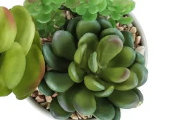 Artificial Plant, 7