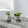 Artificial Plant, 6" Tall, Succulent, Indoor, Faux, Fake, Table, Greenery, Potted, Set Of 2, Decorative, Green Leaves, Grey Cement Pots