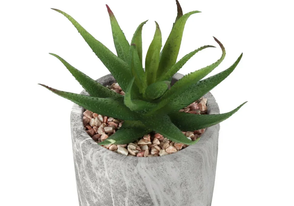 Artificial Plant, 6" Tall, Succulent, Indoor, Faux, Fake, Table, Greenery, Potted, Set Of 2, Decorative, Green Leaves, Grey Cement Pots