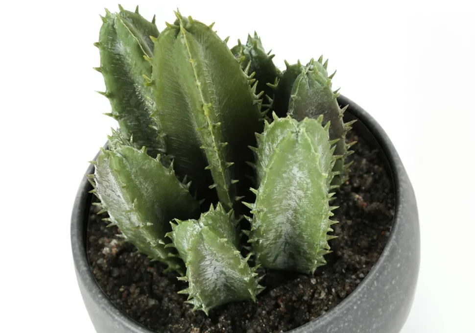 Artificial Plant, 6" Tall, Succulent, Indoor, Faux, Fake, Table, Greenery, Potted, Set Of 3, Decorative, Green Plants, Grey Cement Pots
