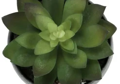 Artificial Plant, 6" Tall, Succulent, Indoor, Faux, Fake, Table, Greenery, Potted, Set Of 3, Decorative, Green Plants, Grey Cement Pots