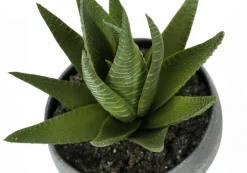 Artificial Plant, 6