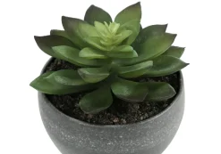 Artificial Plant, 6