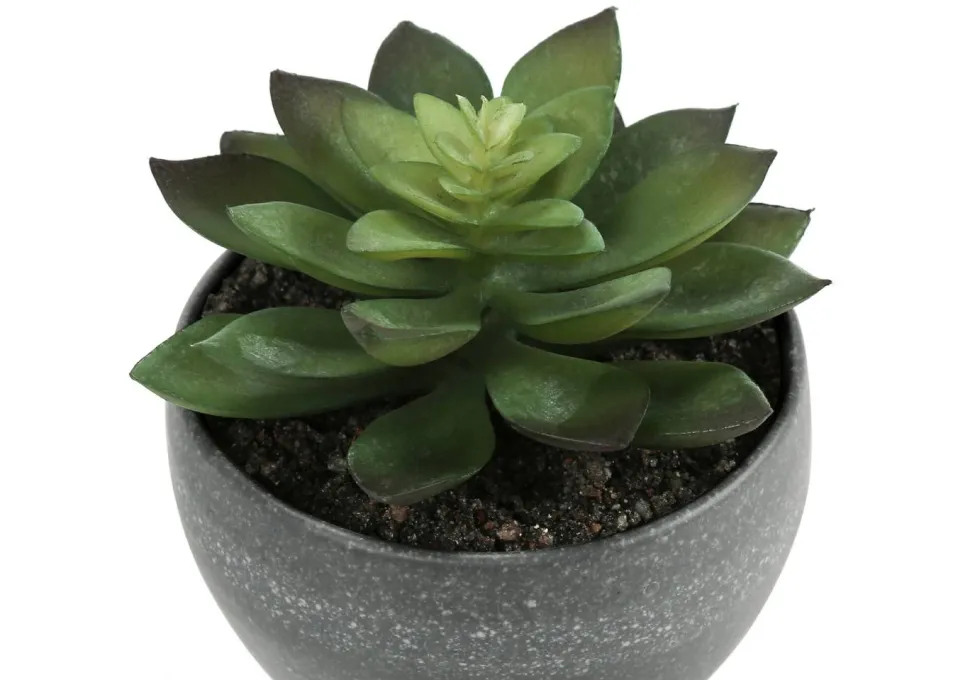 Artificial Plant, 6" Tall, Succulent, Indoor, Faux, Fake, Table, Greenery, Potted, Set Of 3, Decorative, Green Plants, Grey Cement Pots