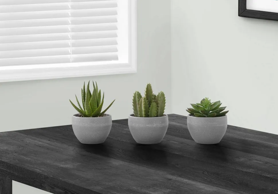 Artificial Plant, 6" Tall, Succulent, Indoor, Faux, Fake, Table, Greenery, Potted, Set Of 3, Decorative, Green Plants, Grey Cement Pots