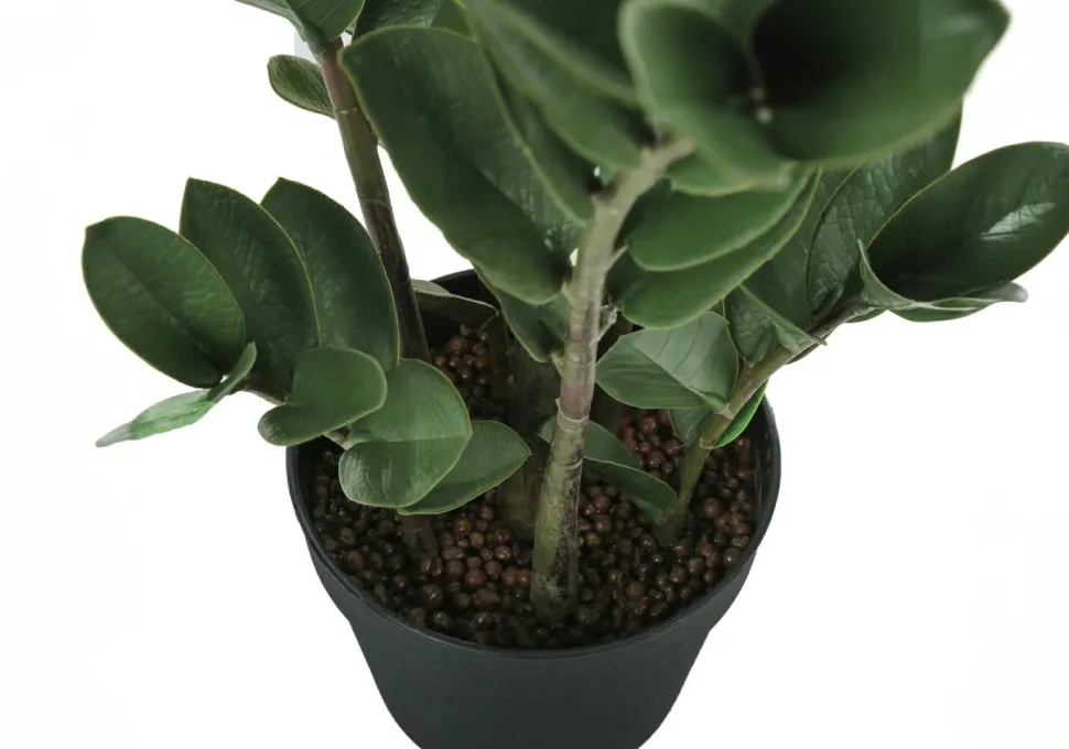 Artificial Plant, 29" Tall, Zz Tree, Indoor, Faux, Fake, Floor, Greenery, Potted, Real Touch, Decorative, Green Leaves, Black Pot
