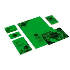 Astrobrights Color Card Stock, Gamma Green, Letter (8.5