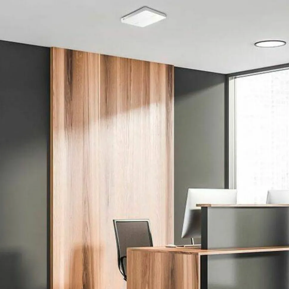 Asus ExpertWiFi EBA63 Dual Band Wi-Fi 6 IEEE 802.11 a/b/g/n/ac/ax 2.91 Gbit/s Wireless Access Point