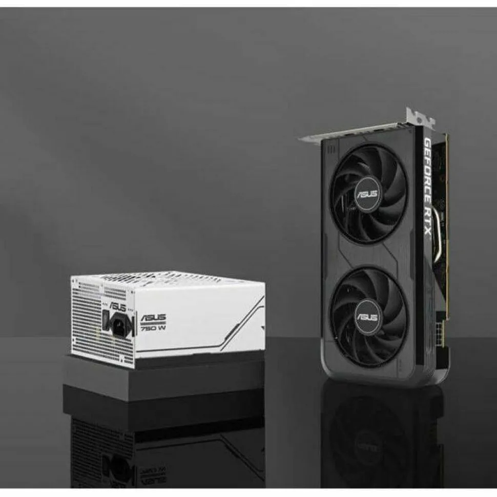 Asus NVIDIA GeForce RTX 5050 Graphic Card - 8 GB GDDR6
