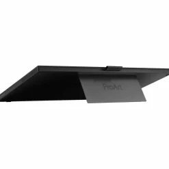 Asus ProArt PA169CDV 16
