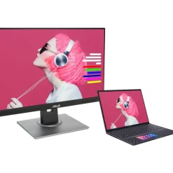 Asus ProArt PA248QV 24