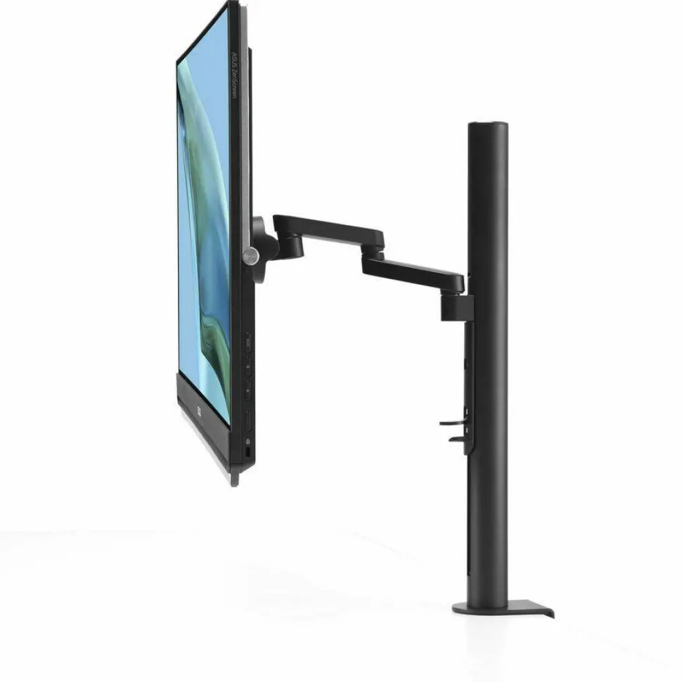 Asus ZenScreen MB249C 24" Class Full HD LED Monitor - 16:9 - Black