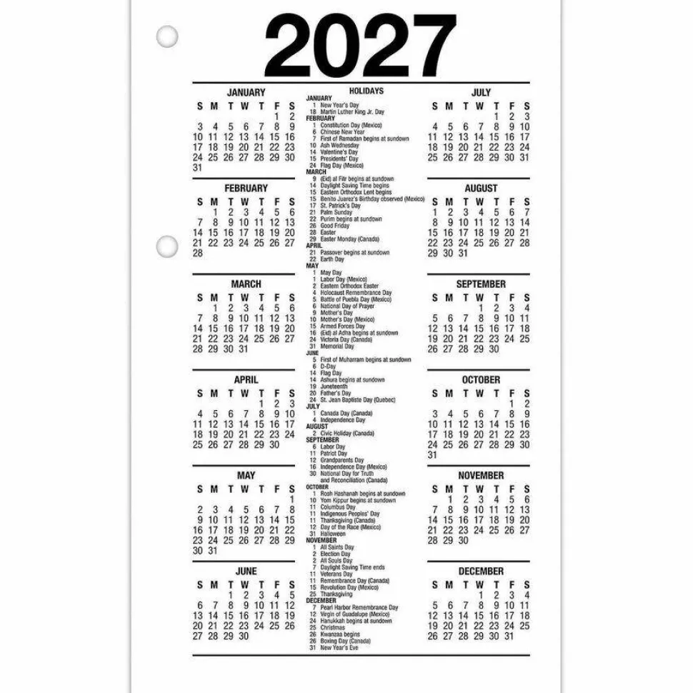 AT-A-GLANCE 2026 Daily Loose-Leaf Desk Calendar Refill, Standard, 3 1/2" x 6", 2027 Calendar