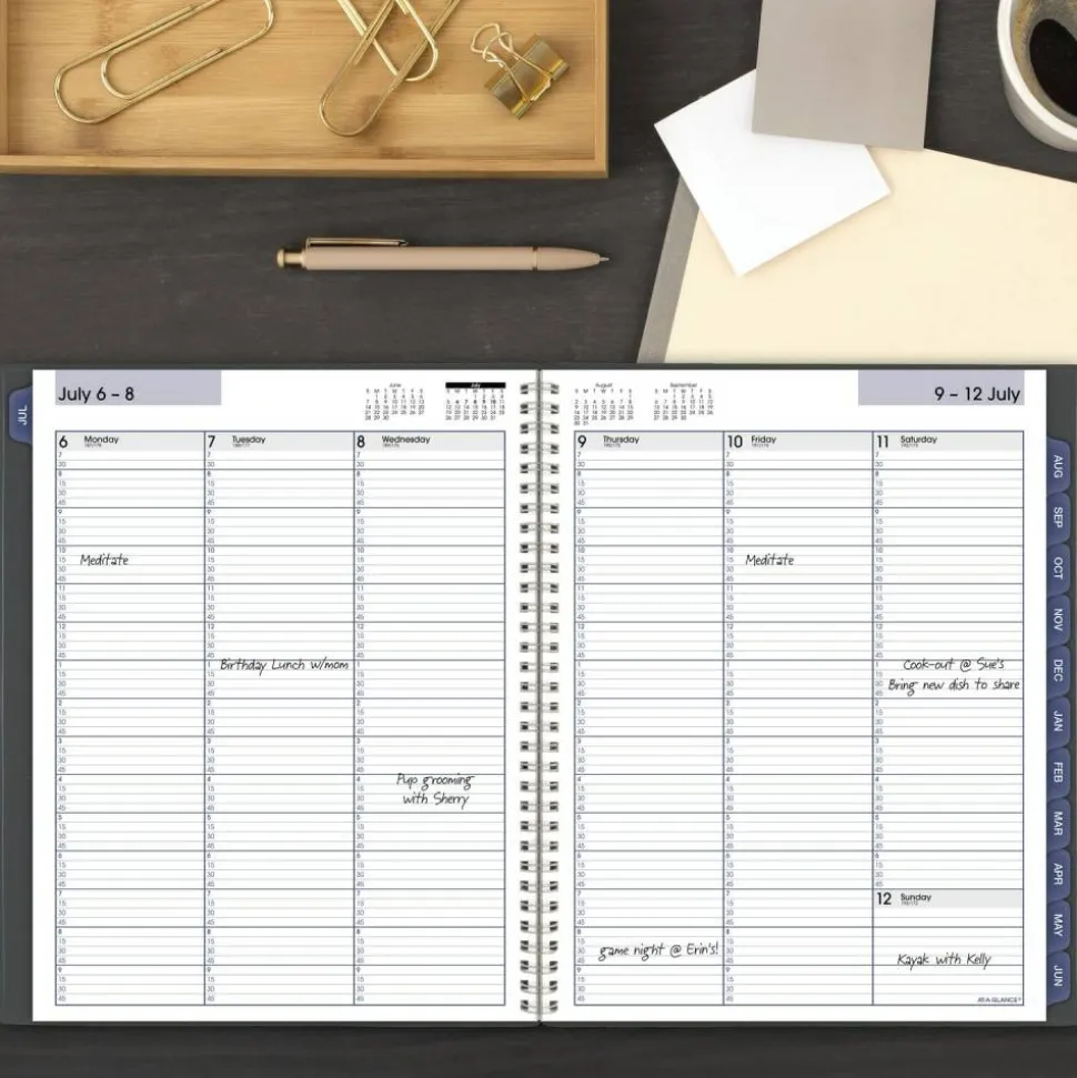AT-A-GLANCE DayMinder Academic 2026-2027 Weekly Monthly Appointment Book Planner, Charcoal, Large, 8 1/2" x 11", 2026 to 2027 Calendar
