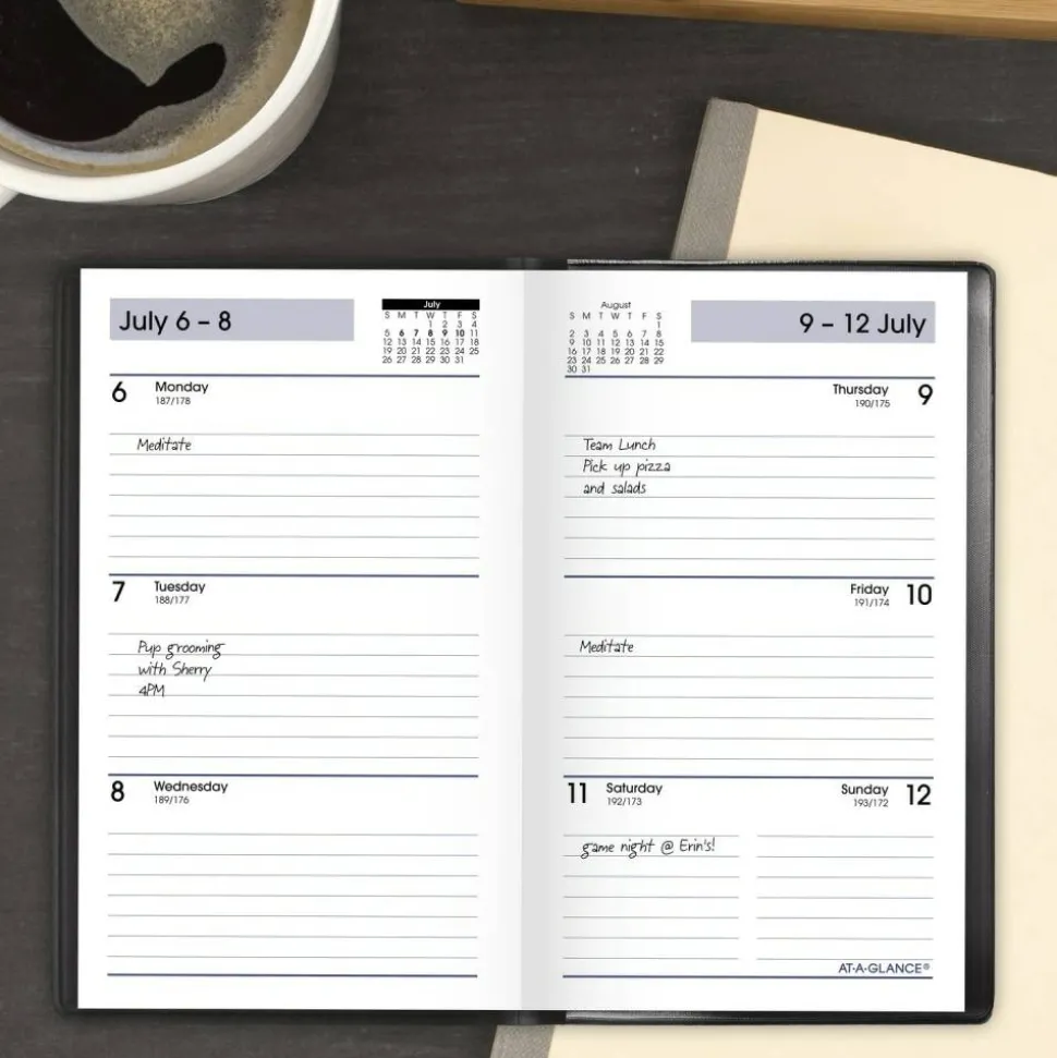 AT-A-GLANCE DayMinder Academic 2026-2027 Weekly Planner, Black, Pocket, 3 1/2" x 6", 2026 to 2027 Calendar