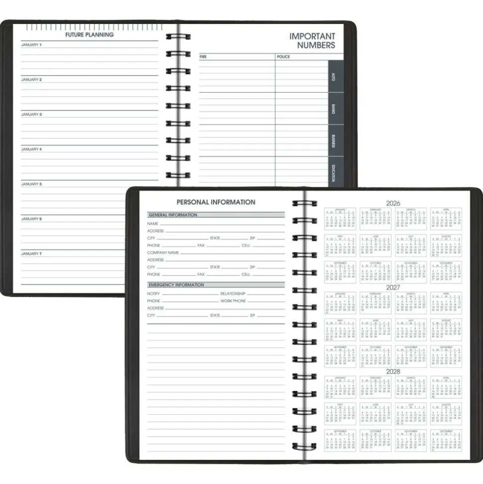 AT-A-GLANCE DayMinder 2027 Daily Appointment Book Planner, Black, Small, 5" x 8", G1000027