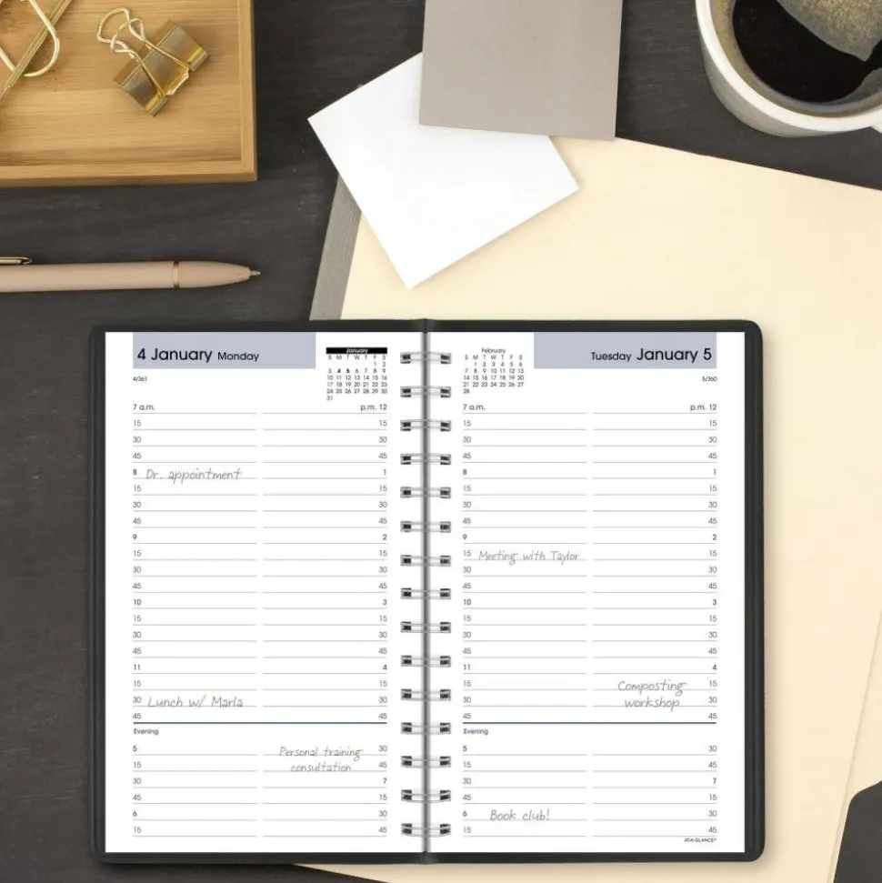 AT-A-GLANCE DayMinder 2027 Daily Appointment Book Planner, Black, Small, 5" x 8", G1000027