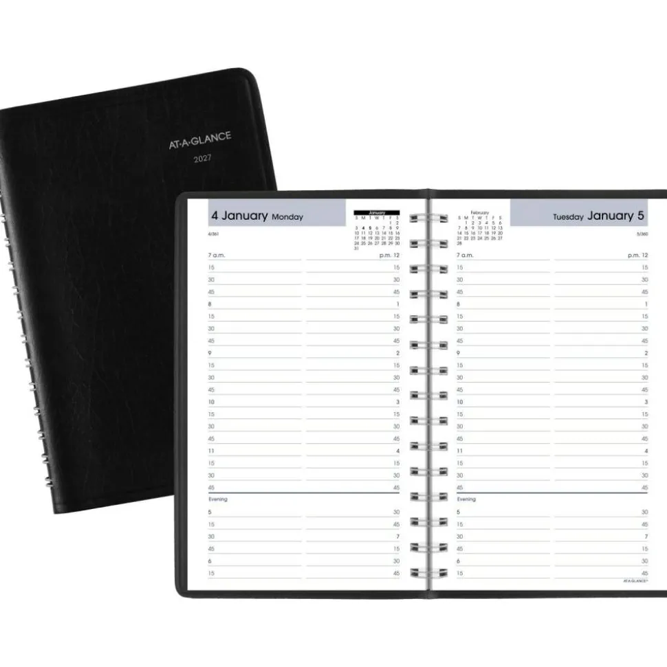AT-A-GLANCE DayMinder 2027 Daily Appointment Book Planner, Black, Small, 5" x 8", G1000027