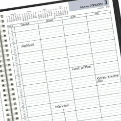 AT-A-GLANCE DayMinder Four-Person Group Daily Appointment Book, 11 x 8, Black Cover, 12-Month (Jan to Dec): 2027, 2027 Calendar