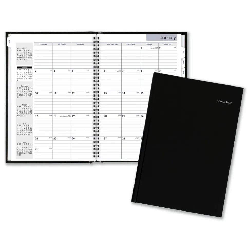 AT-A-GLANCE DayMinder Hard-Cover Monthly Planner, Ruled Blocks, 11.75 x 8, Black Cover, 14-Month: Dec 2026 to Jan 2028, 2027 Calendar
