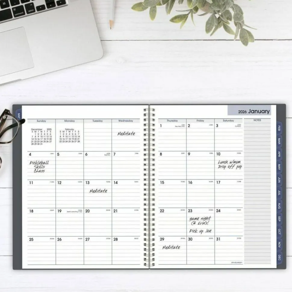 AT-A-GLANCE DayMinder 2027 Monthly Planner, Gray, Large, 8 1/2" x 11", 2027 Calendar