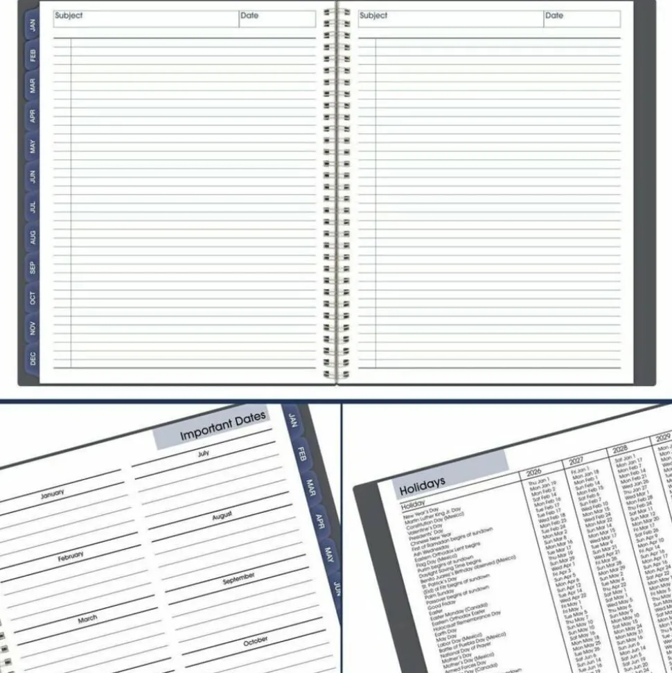 AT-A-GLANCE DayMinder 2027 Monthly Planner, Gray, Large, 8 1/2" x 11", 2027 Calendar