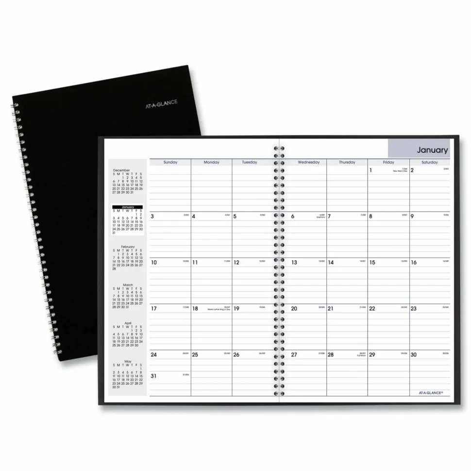 AT-A-GLANCE DayMinder Monthly Planner, Ruled Blocks, 12 x 8, Black Cover, 14-Month: Dec 2026 to Jan 2028, 2027 Calendar