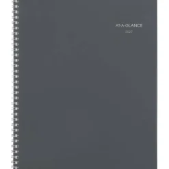 AT-A-GLANCE DayMinder 2027 Monthly Planner, Gray, Large, 8 1/2