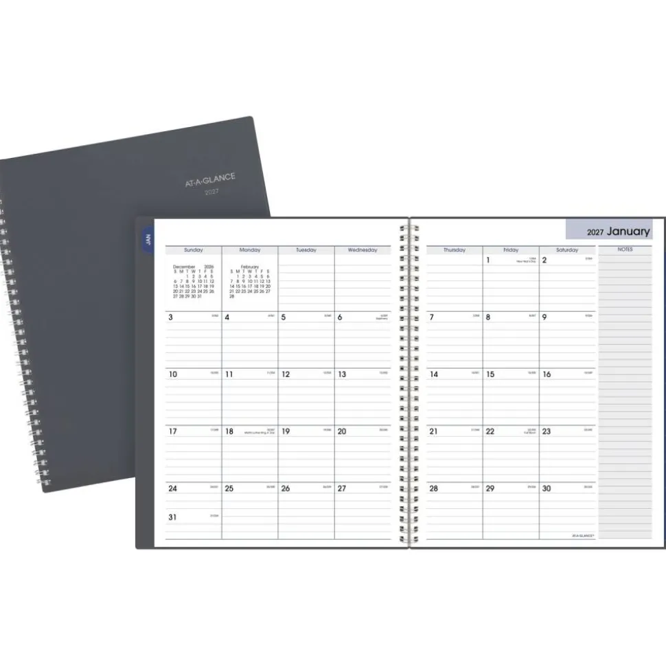 AT-A-GLANCE DayMinder 2027 Monthly Planner, Gray, Large, 8 1/2" x 11"