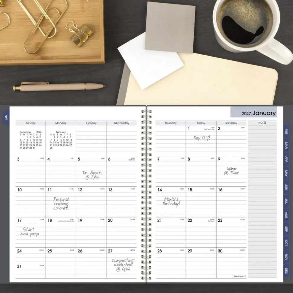 AT-A-GLANCE DayMinder 2027 Monthly Planner, Gray, Large, 8 1/2" x 11"
