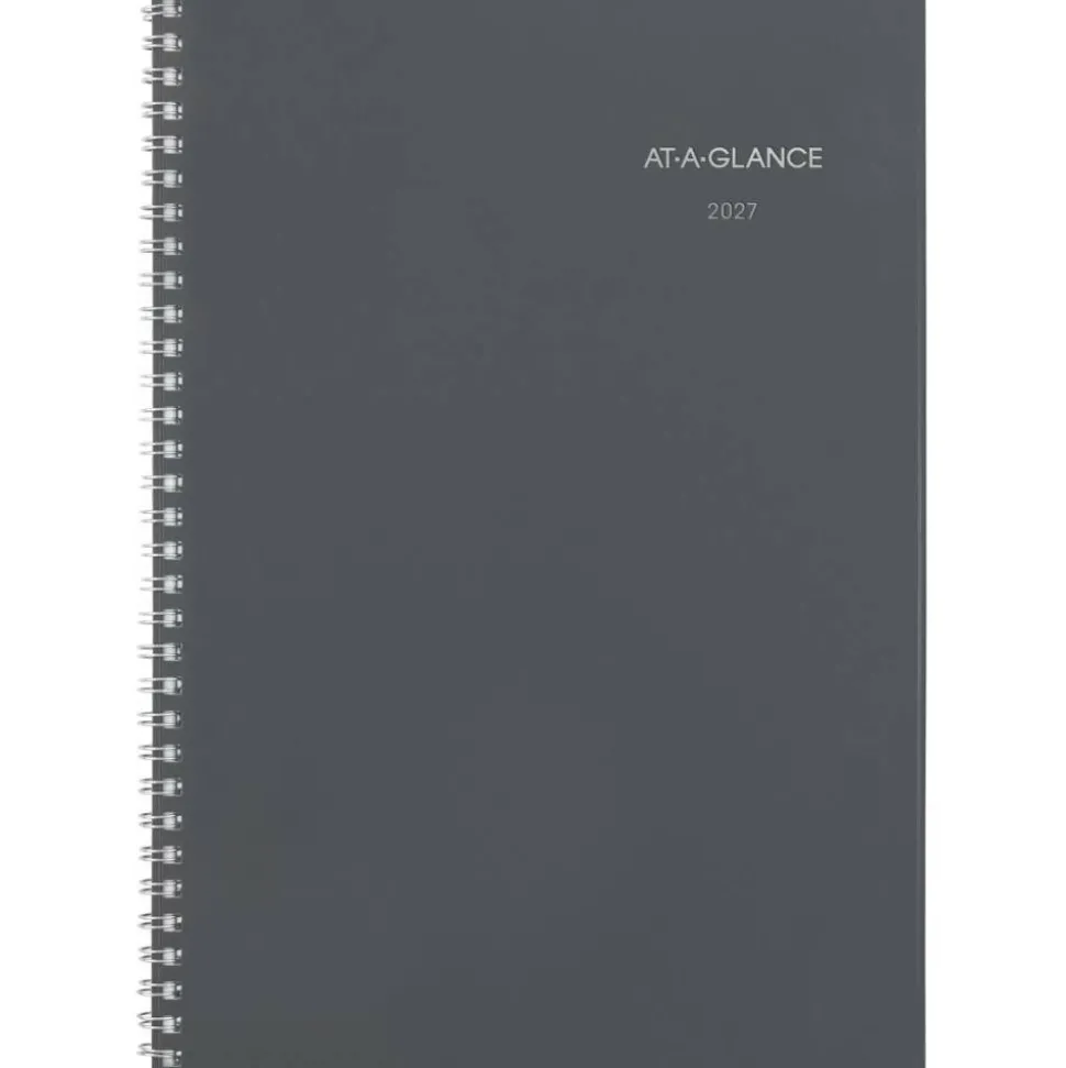 AT-A-GLANCE DayMinder 2027 Weekly Monthly Planner, Gray, Small, 5" x 8"