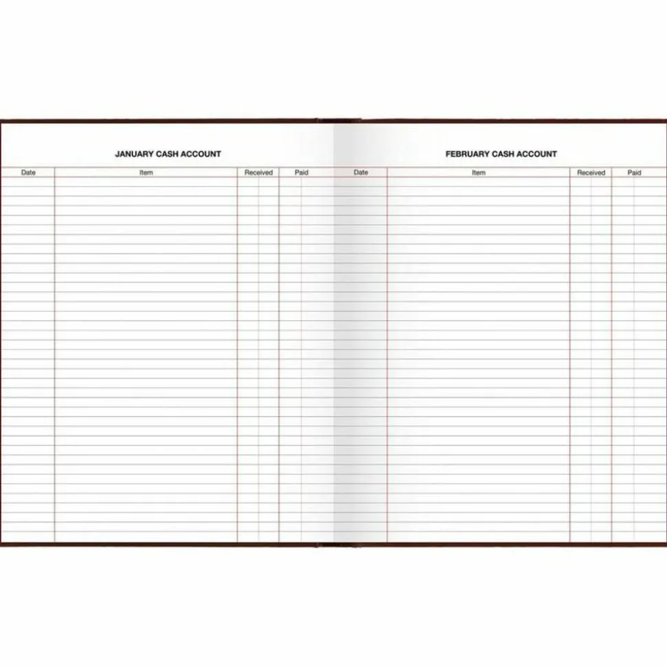 AT-A-GLANCE Standard Diary Daily Diary, 2027 Edition, Medium/College Rule, Red Cover, (200) 9.5 x 7.5 Sheets, 2027 Calendar
